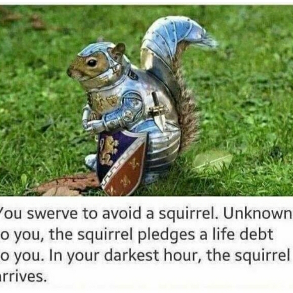 Meet your Posher, Chad - Picture 1 of 1